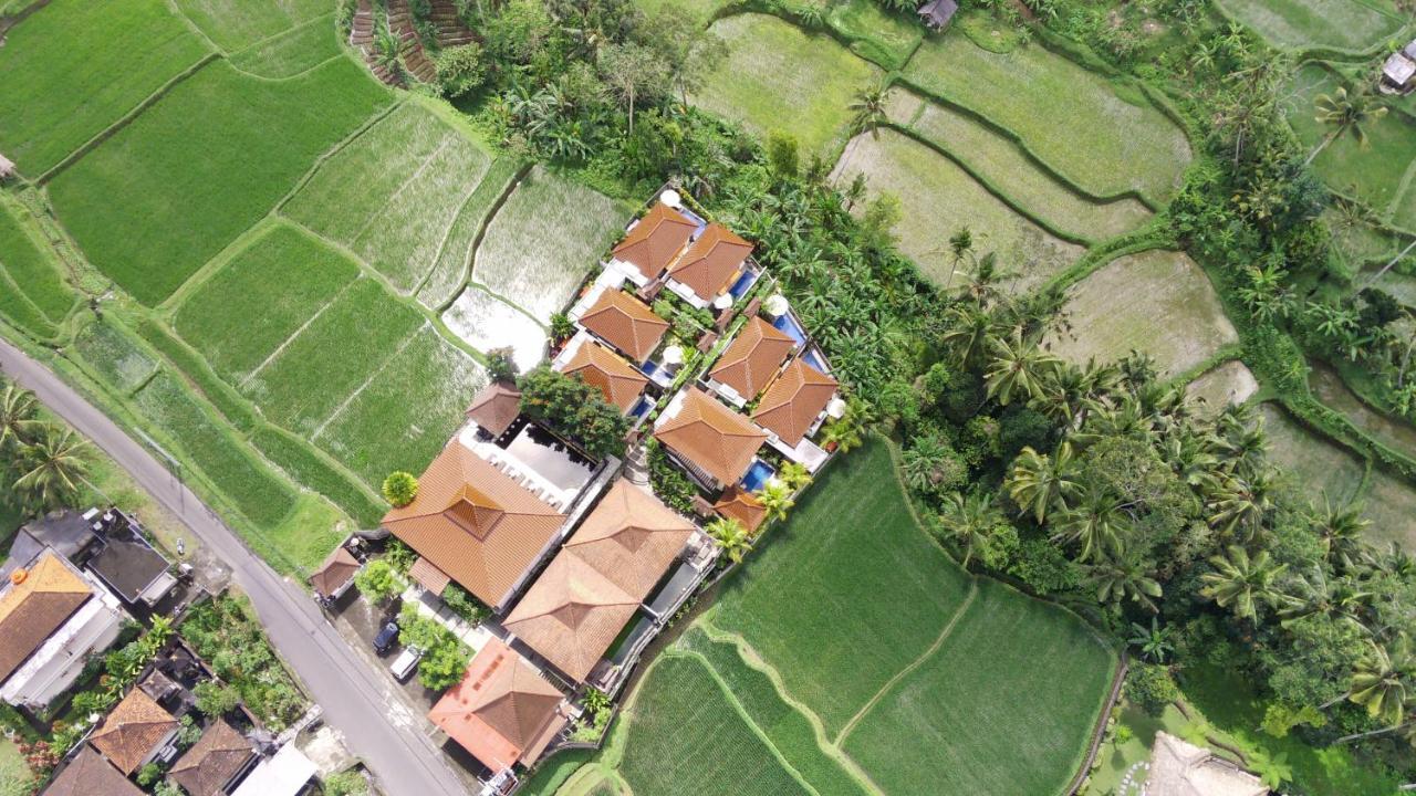 Danakha Villa Ubud Tegallalang (Bali) Exterior foto